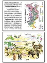Природные зоны России - 3