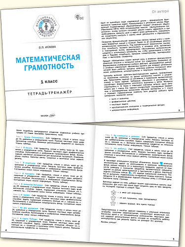 Математическая грамотность. 1 класс: тетрадь-тренажёр - 8