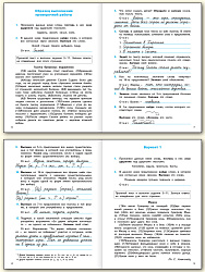 Всероссийская проверочная работа. Русский язык. 4 класс - 3