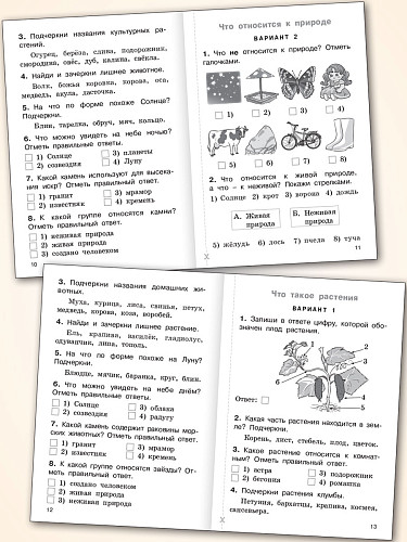 Тематический контроль по курсу «Окружающий мир». 1 класс - 10