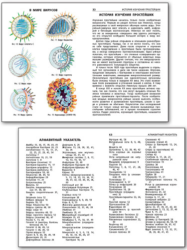 Бактерии, вирусы, простейшие - 10