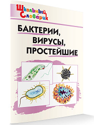Словарик «Бактерии, вирусы, простейшие» для 1-4 классов - 1