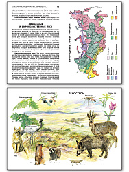 Природные зоны России - 3