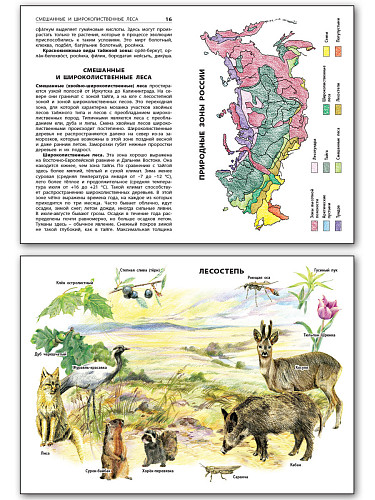 Природные зоны России - 9