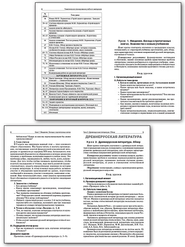 Поурочные разработки по литературе. 9 класс. К УМК В.Я. Коровиной - 8
