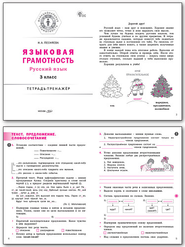 Языковая грамотность. Русский язык. 3 класс: тетрадь-тренажёр - 8