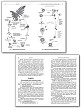 Сборник задач по цитологии и генетике для 10-11 классов - 5