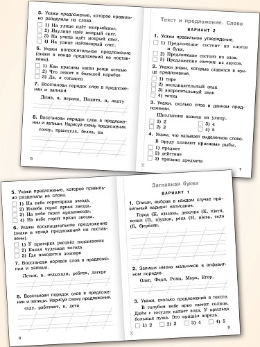 Тематический контроль по русскому языку. 1 класс - 9