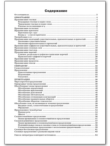 Русский язык: орфография, синтаксис, пунктуация. 5–9 классы - 11