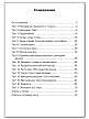 Тесты «Русский язык: контрольно-измерительные материалы» для 2 класса - 6