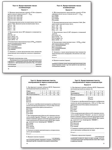 Контрольно-измерительные материалы. Информатика. 10 класс - 10