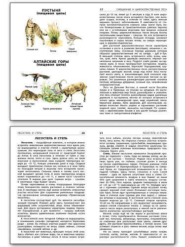 Природные зоны России - 10