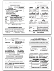 История Роccии в таблицах и схемах. 6–11 классы - 3