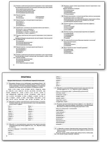 Правописание Н и НН в разных частях речи: рабочая тетрадь по русскому языку. 5–9 классы - 8