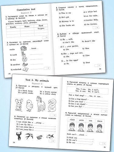 Проверочные и контрольные работы по английскому языку. 2 класс: рабочая тетрадь - 10