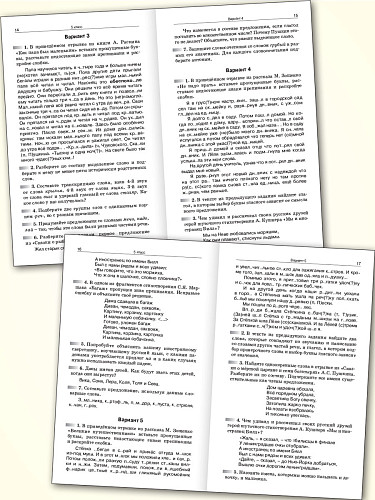 Русский язык. Школьные олимпиады. 5-11 классы - 9