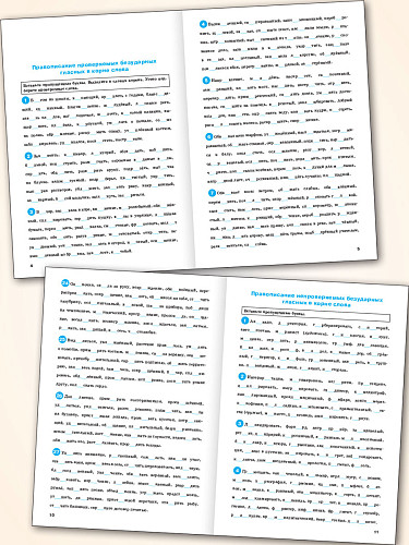 Тренажёр по русскому языку: орфография. 10–11 классы - 8
