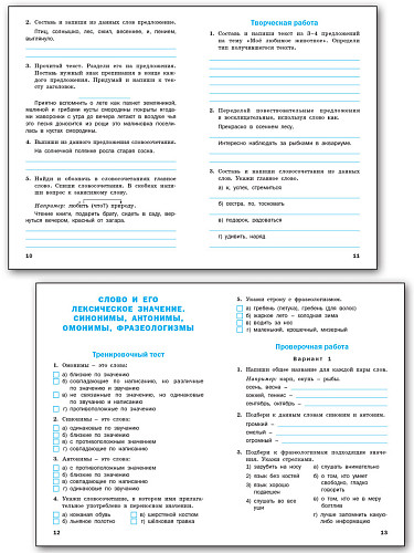 Проверочные и контрольные работы по русскому языку. 3 класс: рабочая тетрадь - 10