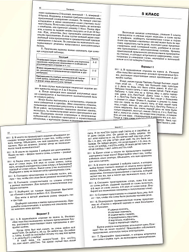 Русский язык. Школьные олимпиады. 5-11 классы - 8