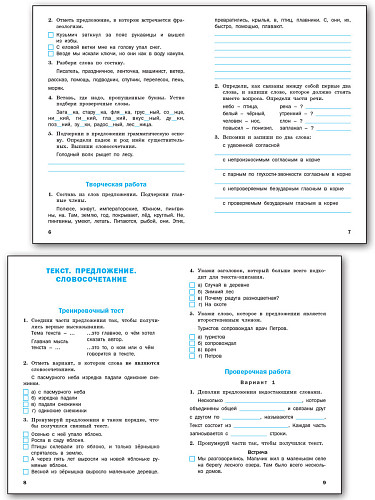 Проверочные и контрольные работы по русскому языку. 4 класс: рабочая тетрадь - 9