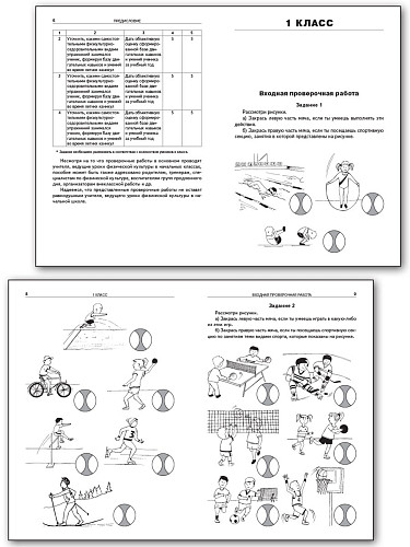 Физическая культура. Входные и итоговые проверочные работы. 1-4 классы - 9