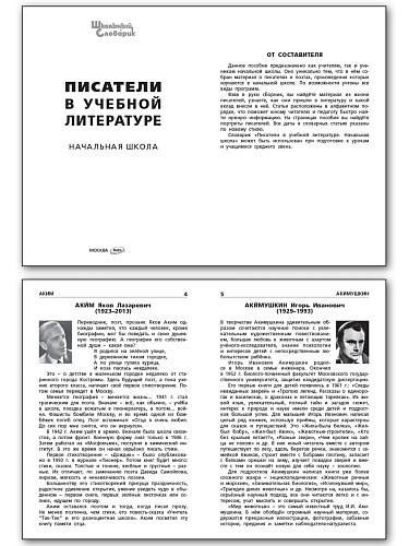 Писатели в учебной литературе - 8