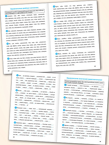 Тренажёр по русскому языку: орфография. 10–11 классы - 10