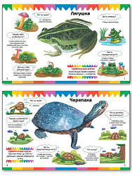 Книга «Рептилии и амфибии» для детей 3–7 лет - 3