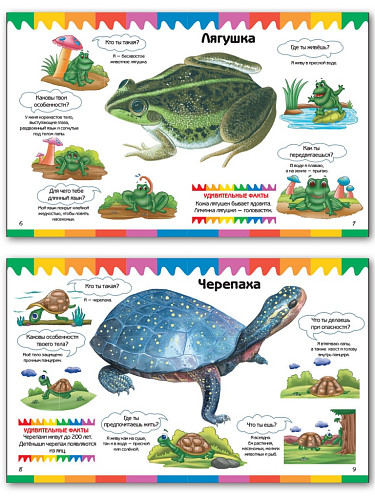 Рептилии и амфибии - 9