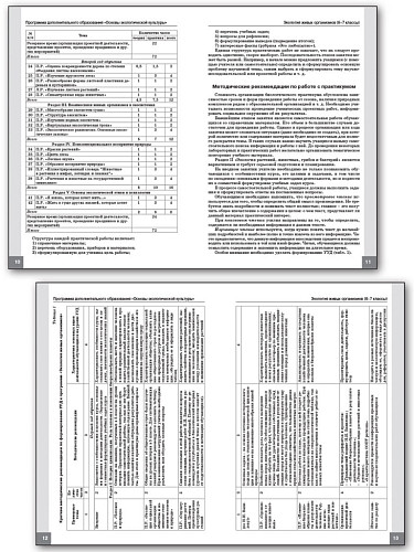 Программа и методика курса «Основы экологической культуры» по биологии для 6-11 классов - 10