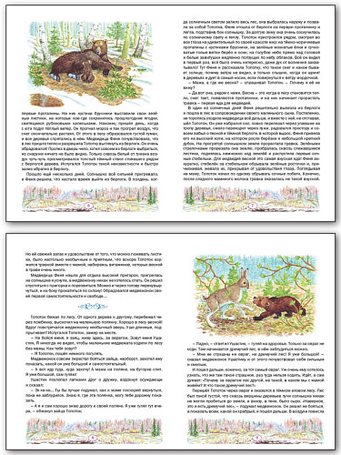 Книга «Медвежонок Топоток» для детей - 7