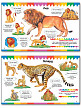 Книга «Кошки» для детей 3–7 лет - 4