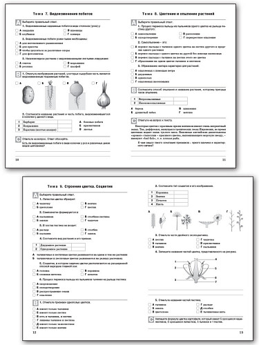 Биология. Разноуровневые задания. 6 класс - 10