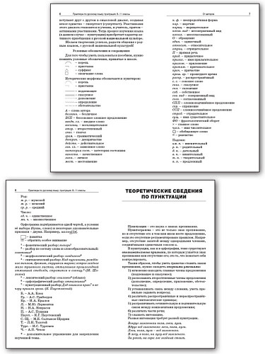 Практикум по русскому языку: пунктуация. 8–11 классы - 8