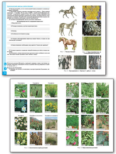 Практикум «Экология живых организмов» по биологии для 6–7 классов - 10