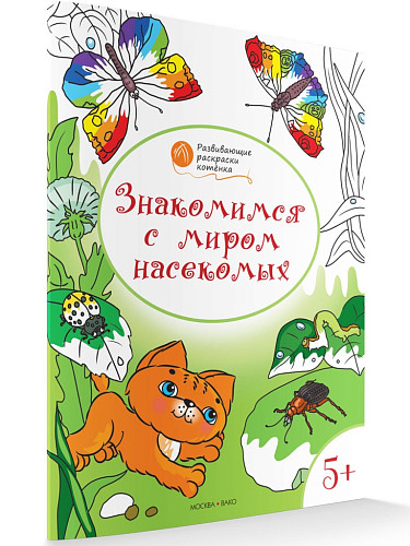 Раскраска «Знакомимся с миром насекомых», развивающая, для детей 5–6 лет - 6