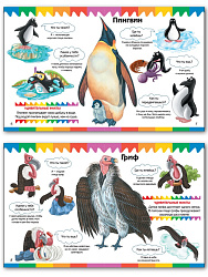 Книга «Птицы» для детей 3–7 лет - 3