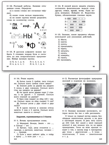 Олимпиадные и развивающие задания. 1 класс - 10