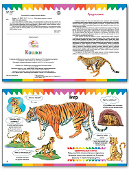 Книга «Кошки» для детей 3–7 лет - 2