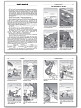 Справочник «Времена английского глагола в картинках» для учащихся 5–9 классов - 4