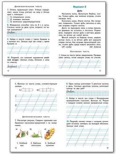 Итоговые комплексные работы. 1 класс - 9