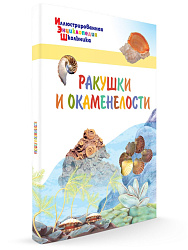 Детская энциклопедия «Ракушки и окаменелости» - 1