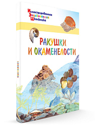 Ракушки и окаменелости - 1