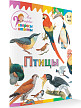 Книга «Птицы» для детей 3–7 лет - 2