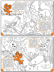Раскраска «Знакомимся с лесными жителями», развивающая, для детей 4–5 лет - 3