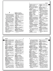Немецко-русский, русско-немецкий словарь - 3