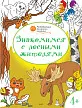Раскраска «Знакомимся с лесными жителями», развивающая, для детей 4–5 лет - 1
