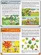 Окружающий мир: явления природы. Тетрадь для занятий с детьми 3-4 лет - 5