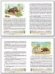 Книга «Медвежонок Топоток» для детей - 3